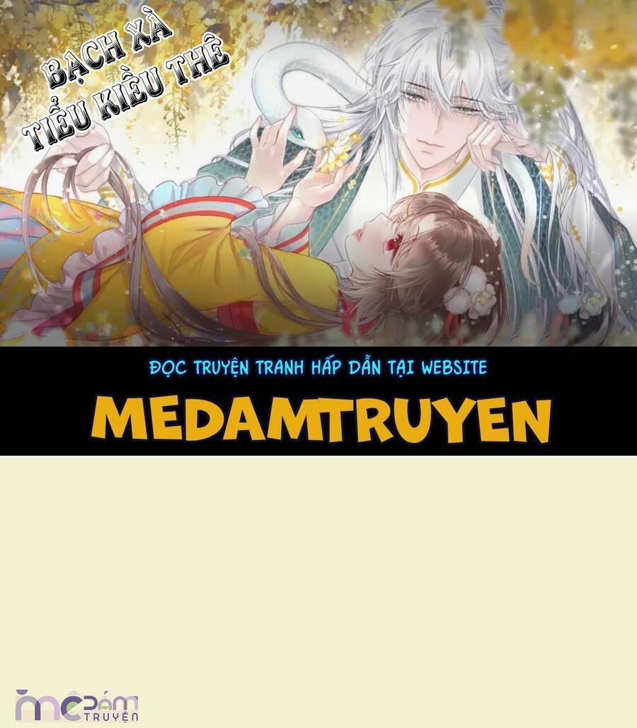 Nữ Phụ Không Muốn Nam Nữ Chính Chia Tay Chap 21 - Next Chap 22