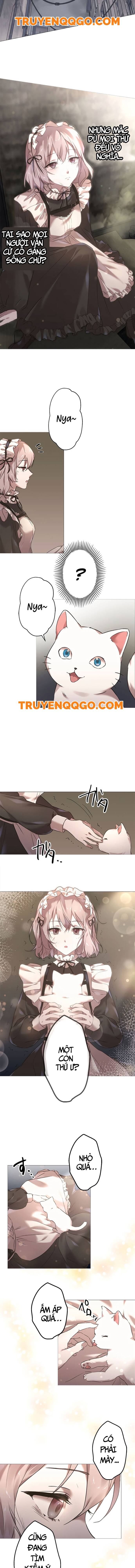 Nước Mắt Thần Chết Chap 1 - Next Chap 2