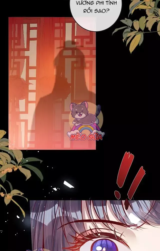 Nuông Chiều Mỹ Nhân Cuồng Nhiệt Chap 13 - Next Chap 14