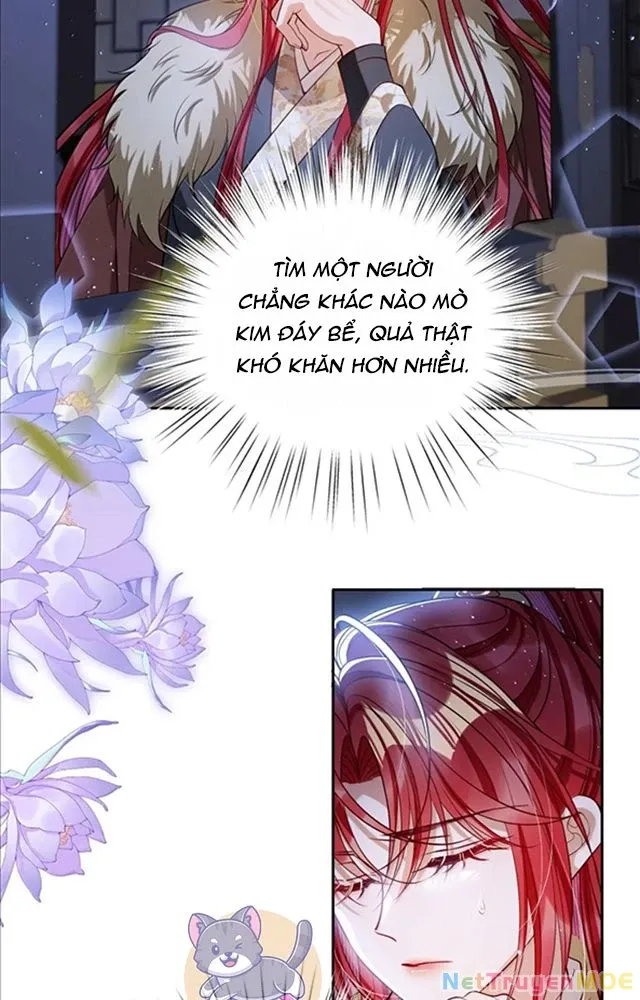 Nuông Chiều Mỹ Nhân Cuồng Nhiệt Chap 51 - Next Chap 52