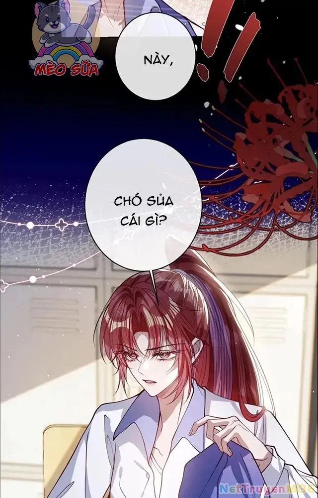Nuông Chiều Mỹ Nhân Cuồng Nhiệt Chap 521 - Next Chap 522