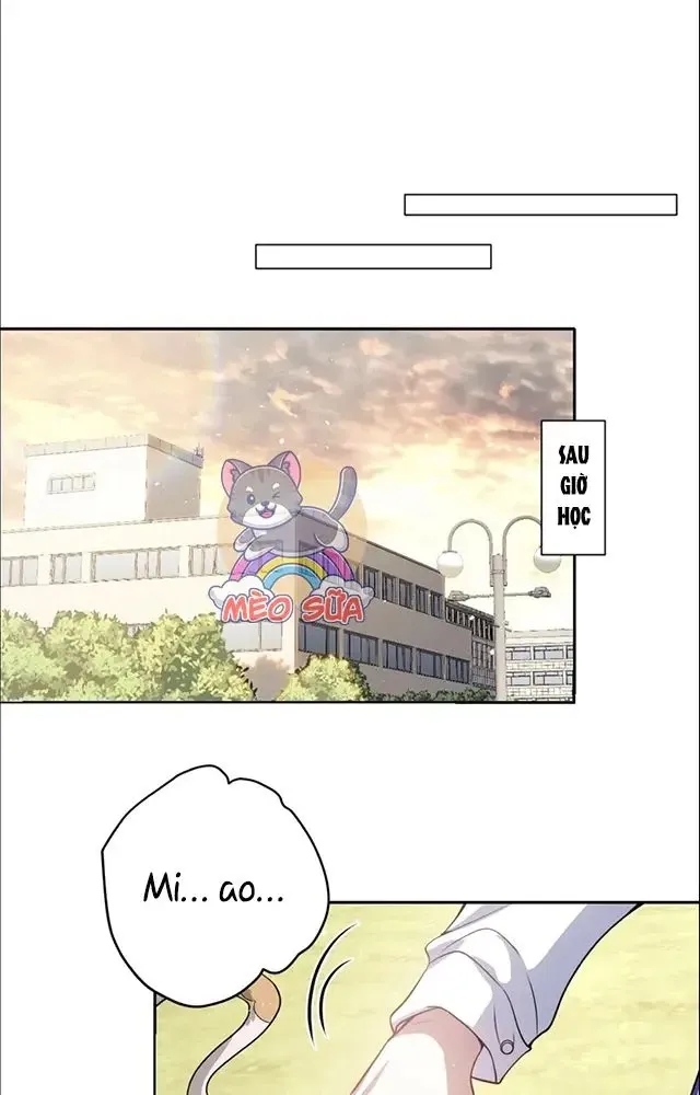 Nuông Chiều Mỹ Nhân Cuồng Nhiệt Chap 521 - Next Chap 522