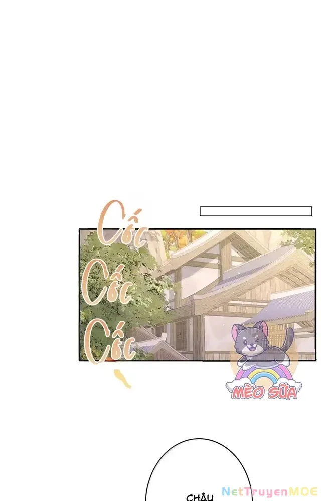 Nuông Chiều Mỹ Nhân Cuồng Nhiệt Chap 56 - Next Chap 57