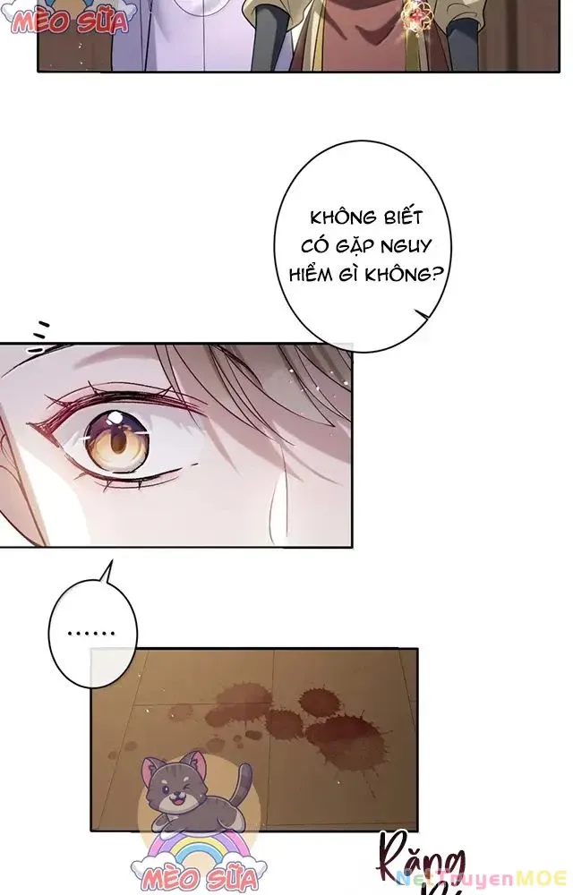 Nuông Chiều Mỹ Nhân Cuồng Nhiệt Chap 56 - Next Chap 57