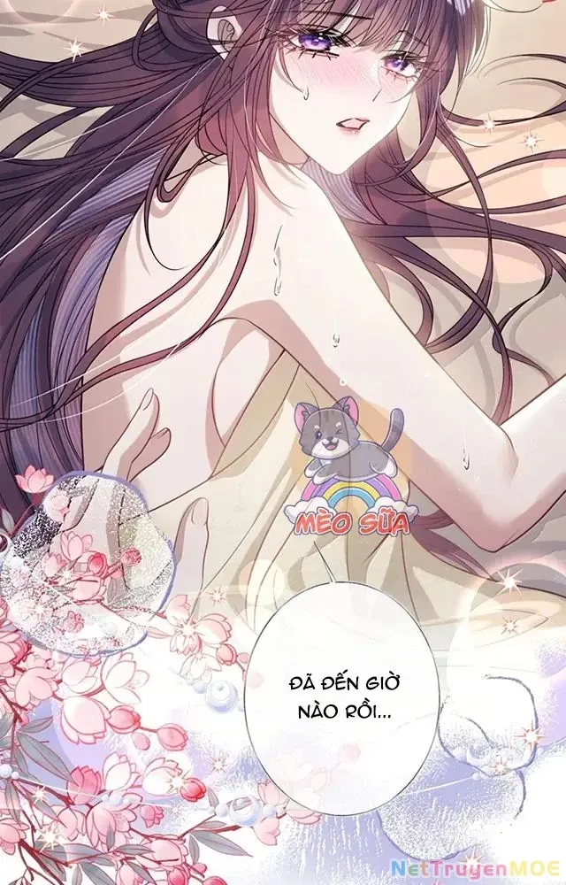 Nuông Chiều Mỹ Nhân Cuồng Nhiệt Chap 56 - Next Chap 57