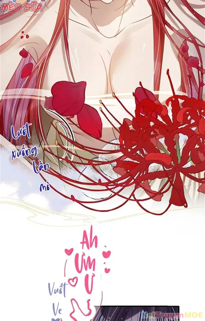 Nuông Chiều Mỹ Nhân Cuồng Nhiệt Chap 57 - Next Chap 58