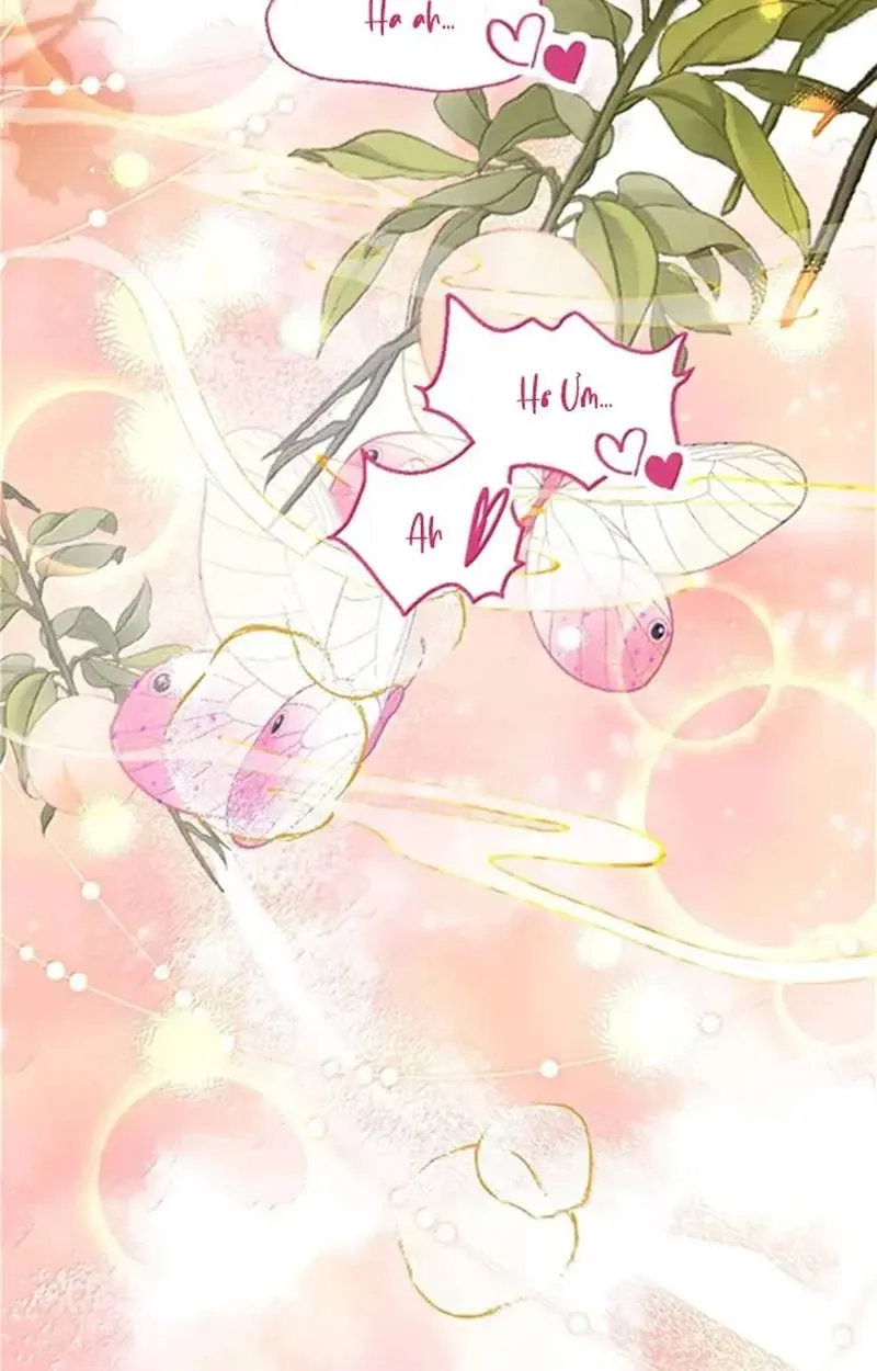 Nuông Chiều Mỹ Nhân Cuồng Nhiệt Chap 57 - Next Chap 58
