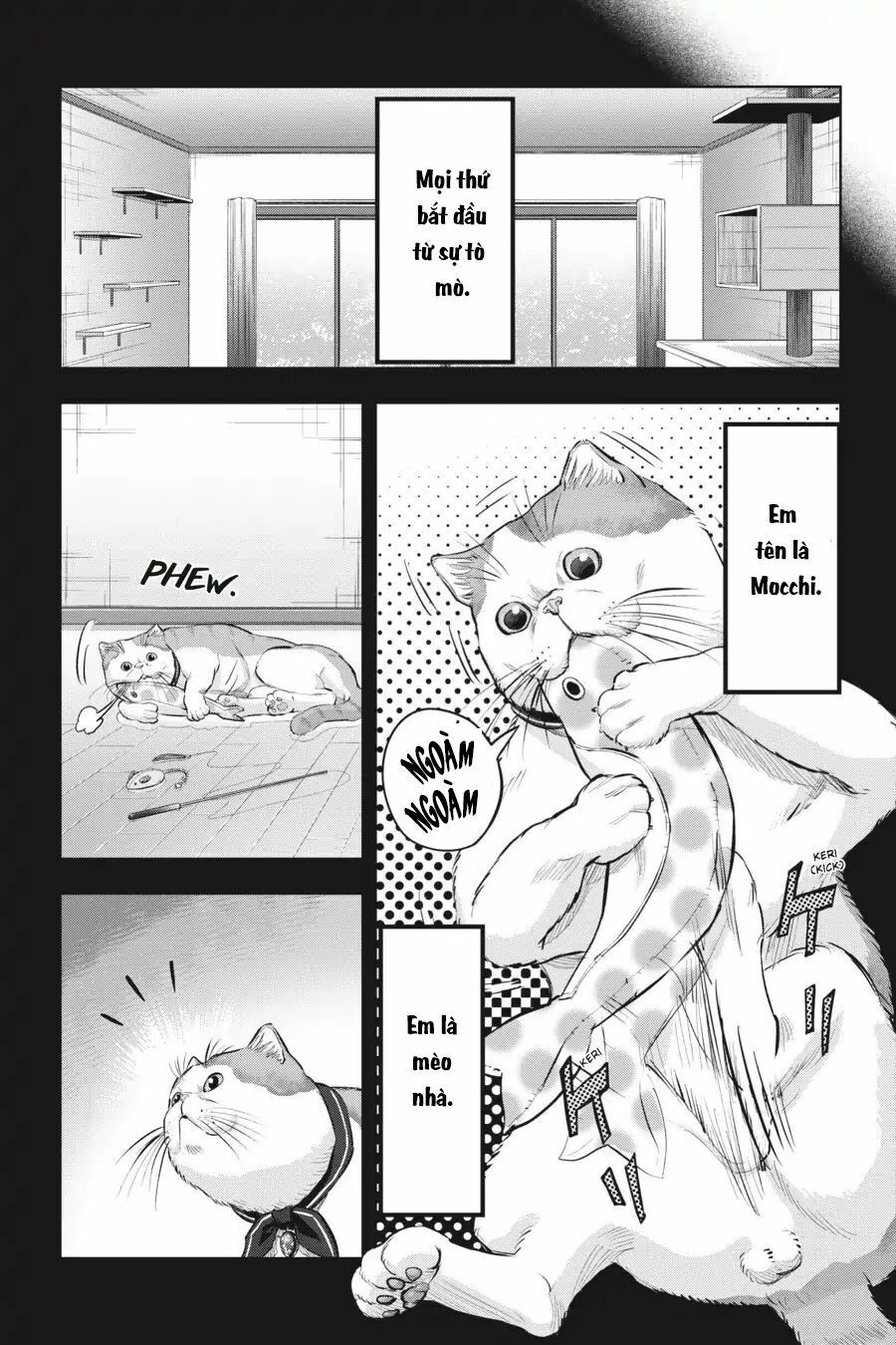 Nyankees Chap 10 - Next Chap 11