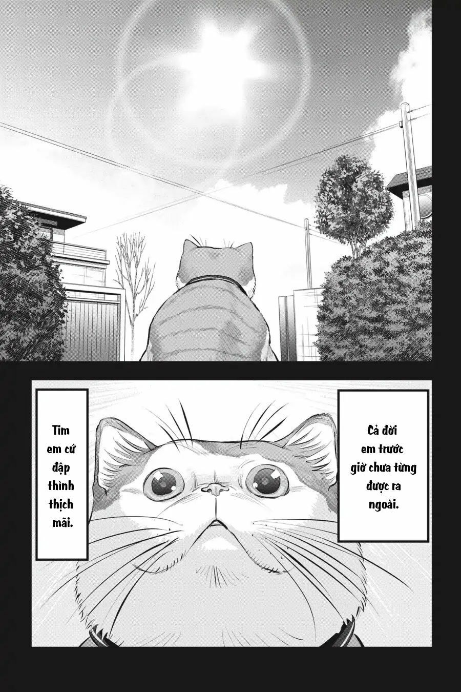 Nyankees Chap 10 - Next Chap 11
