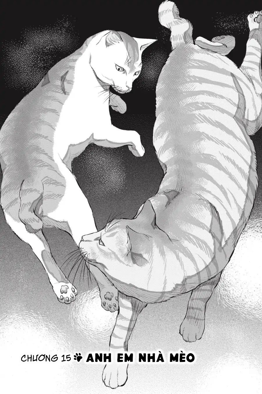 Nyankees Chap 15 - Next Chap 16