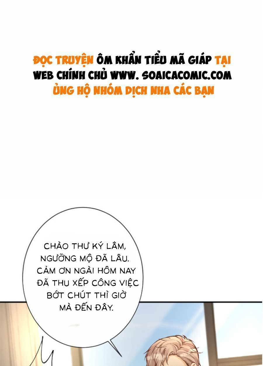 Ôm Khẩn Tiểu Mã Giáp Của Tôi Chap 121 - Next Chap 122