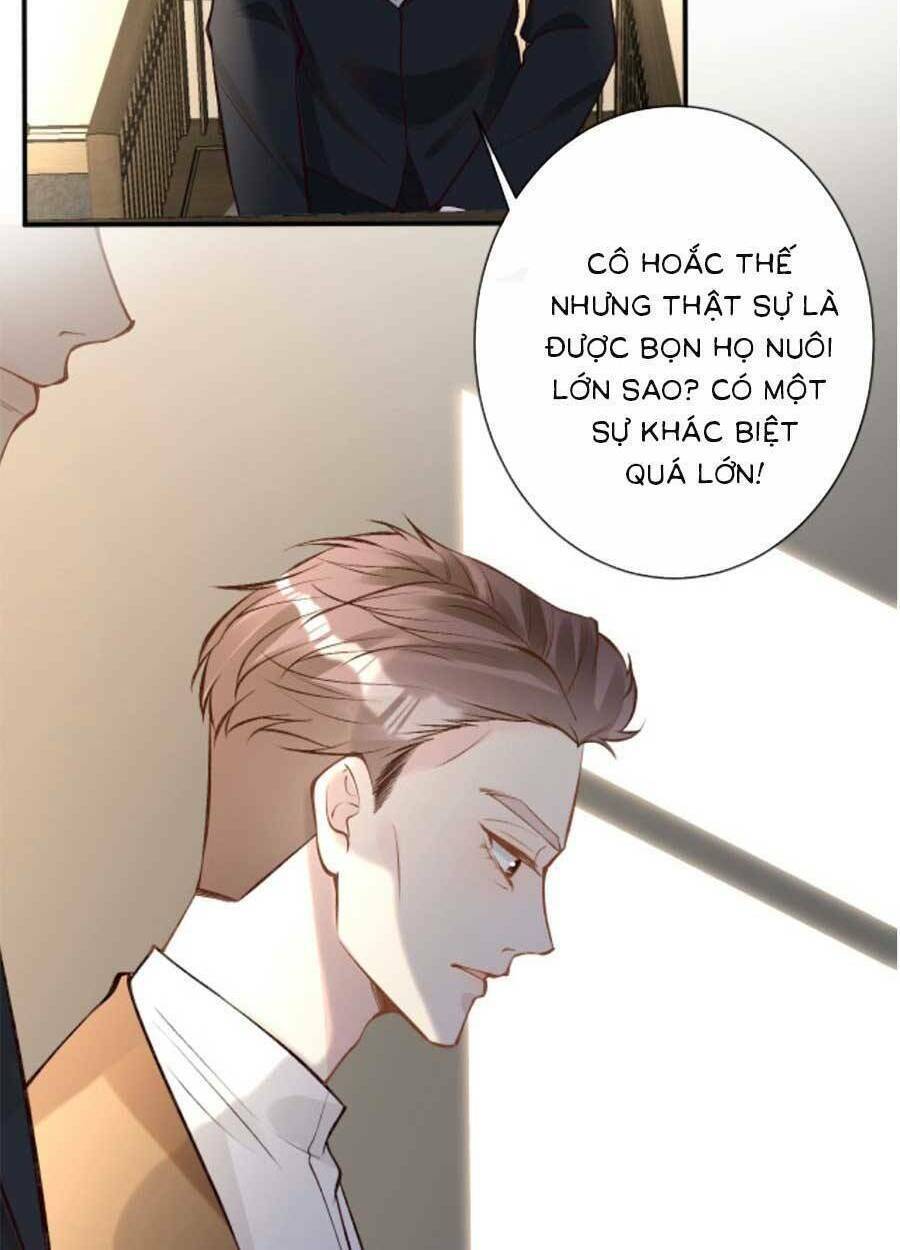 Ôm Khẩn Tiểu Mã Giáp Của Tôi Chap 121 - Next Chap 122