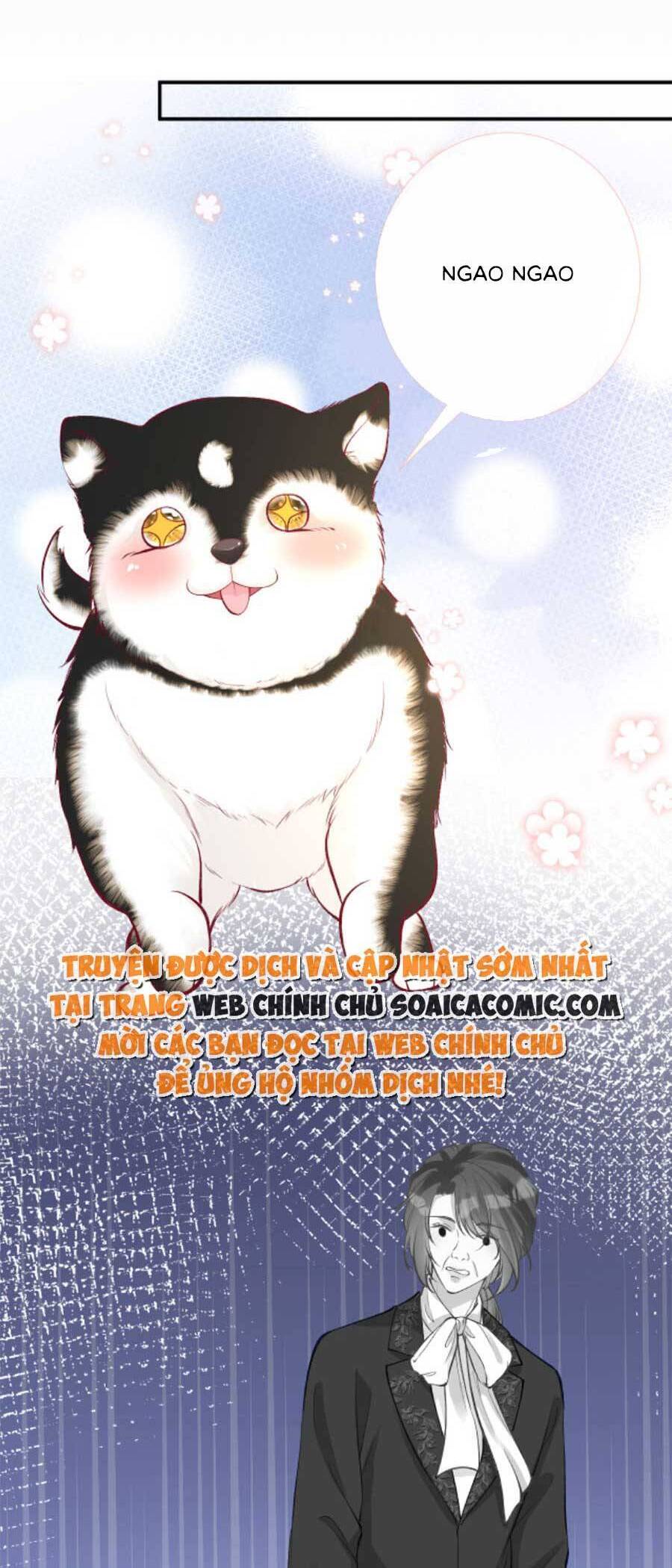 Ôm Khẩn Tiểu Mã Giáp Của Tôi Chap 156 - Next Chap 157