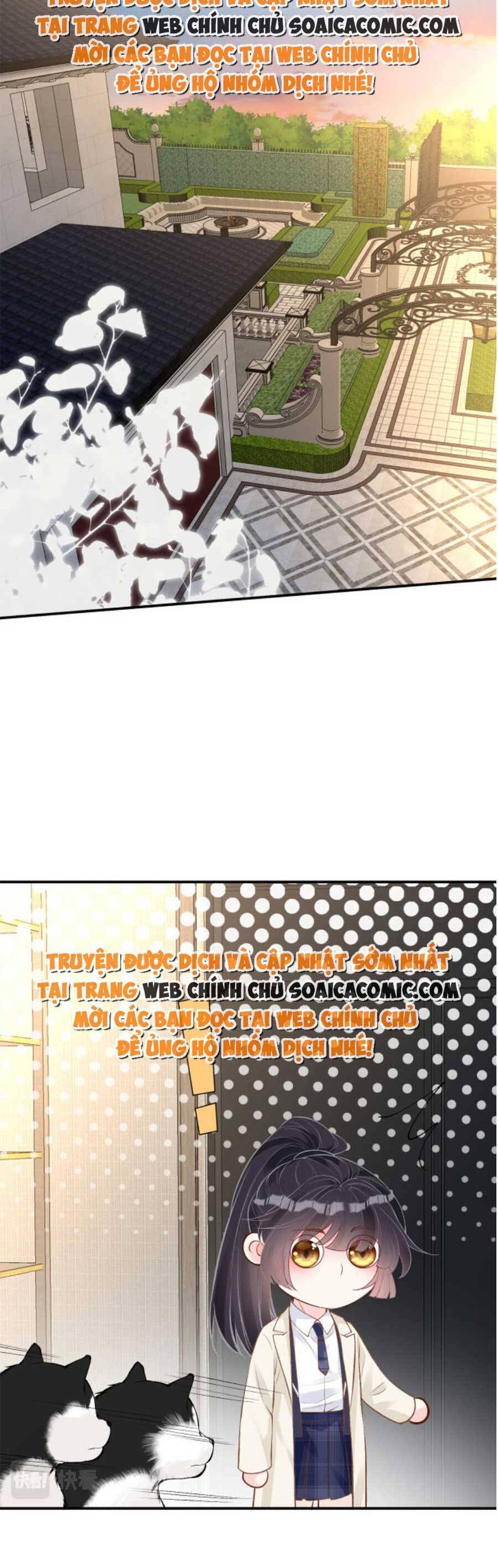 Ôm Khẩn Tiểu Mã Giáp Của Tôi Chap 156 - Next Chap 157