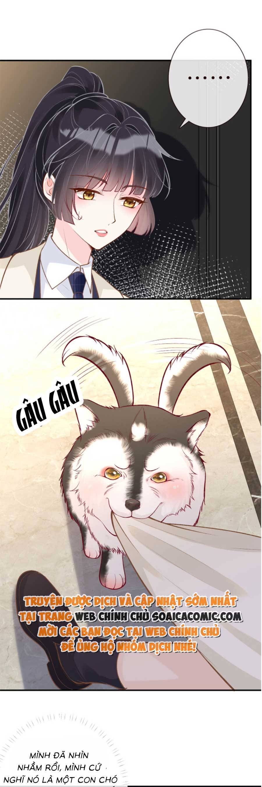 Ôm Khẩn Tiểu Mã Giáp Của Tôi Chap 156 - Next Chap 157