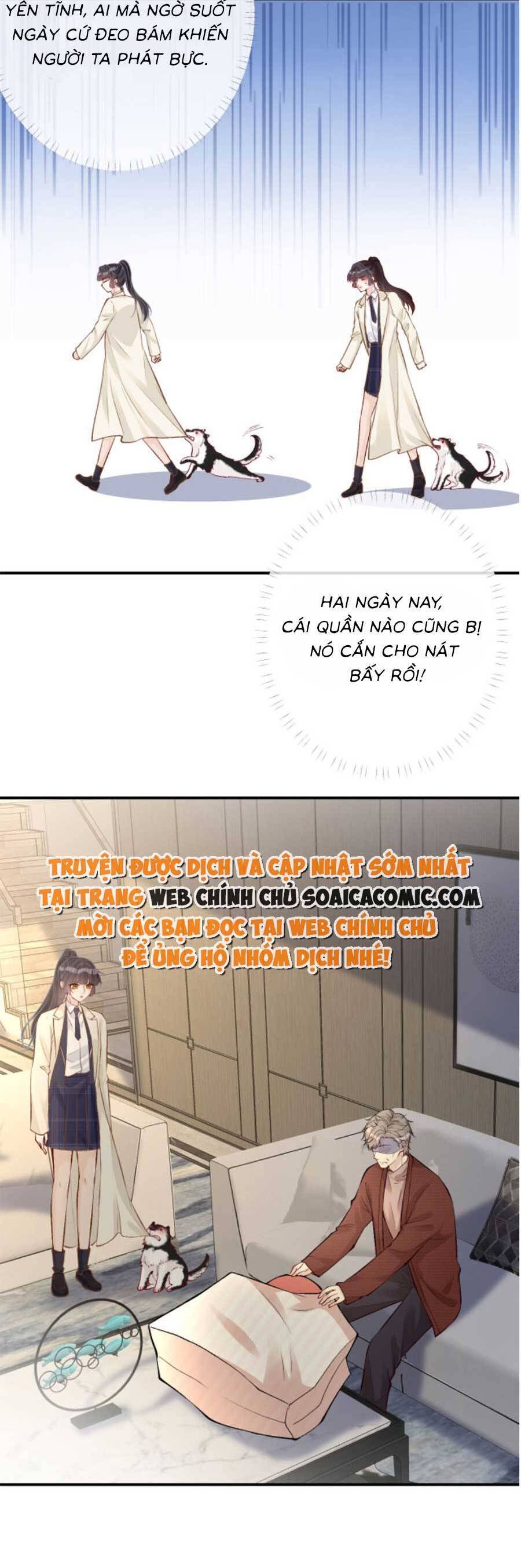 Ôm Khẩn Tiểu Mã Giáp Của Tôi Chap 156 - Next Chap 157
