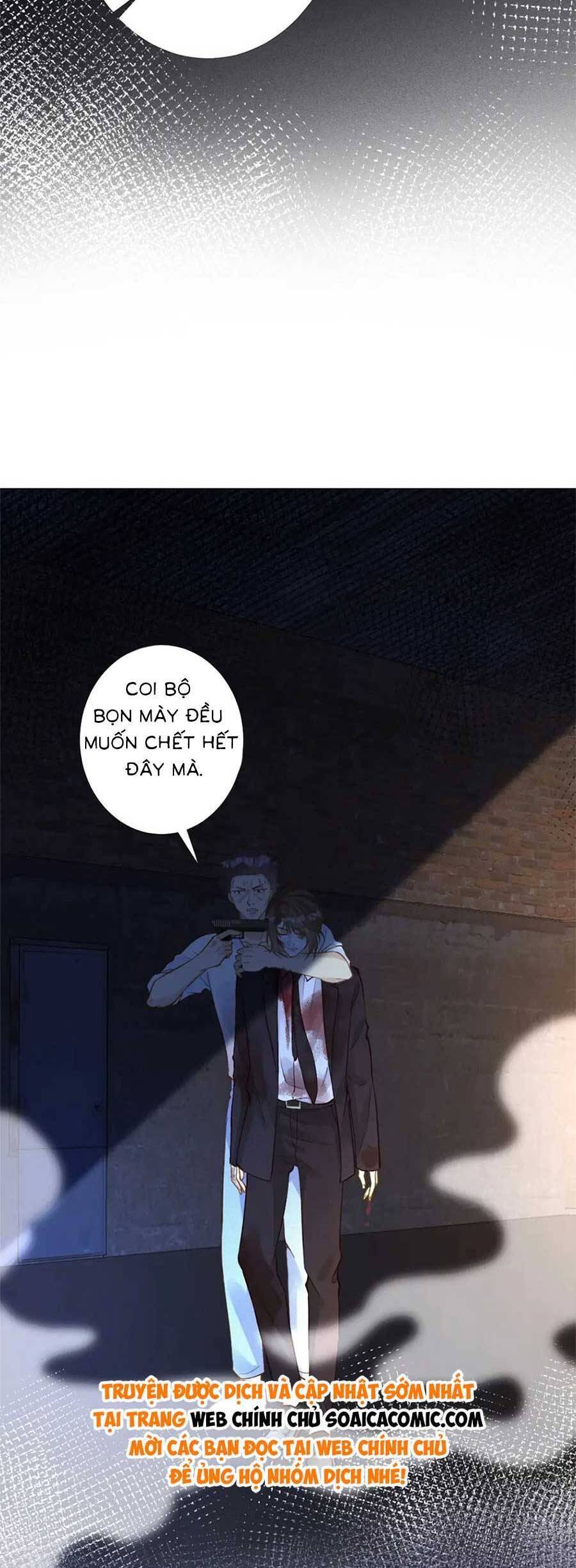Ôm Khẩn Tiểu Mã Giáp Của Tôi Chap 214 - Next Chap 215