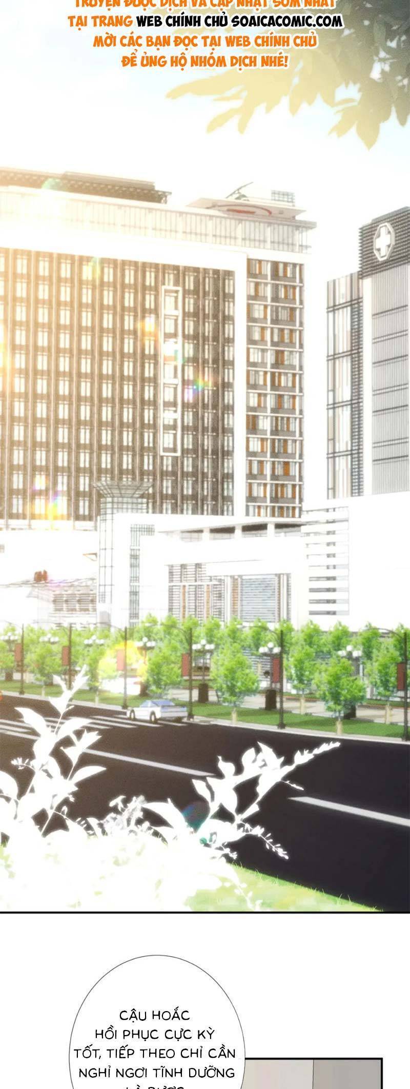 Ôm Khẩn Tiểu Mã Giáp Của Tôi Chap 247 - Next Chap 248