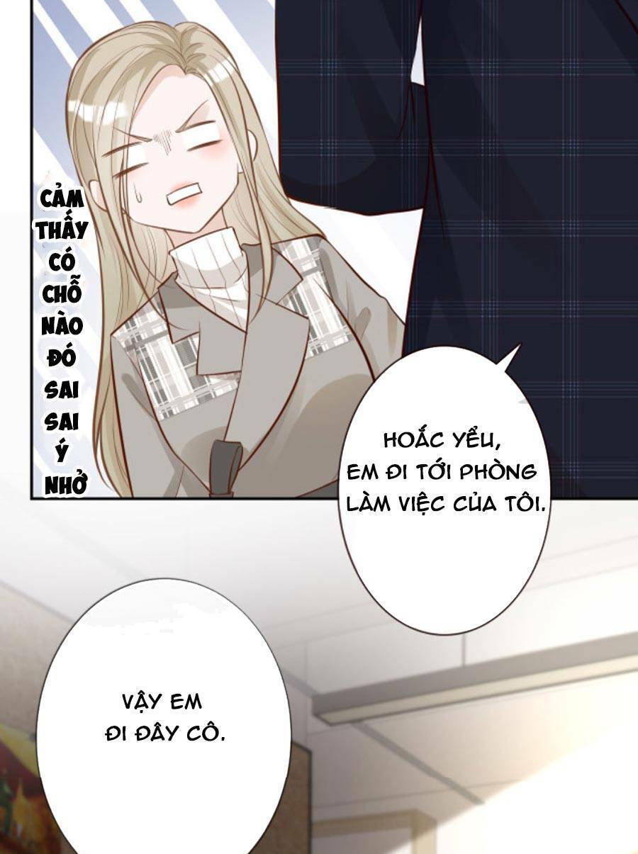 Ôm Khẩn Tiểu Mã Giáp Của Tôi Chap 37 - Next Chap 38