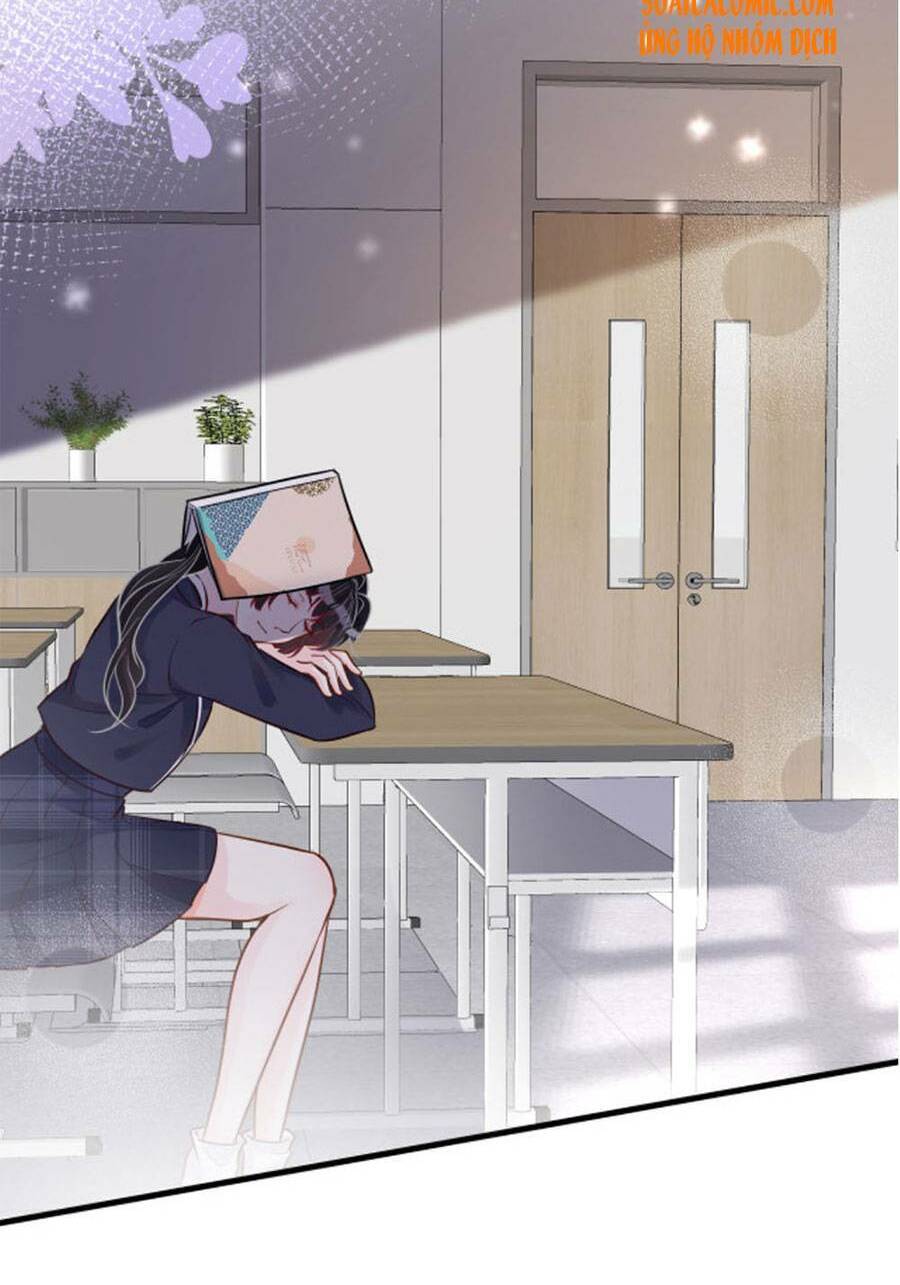 Ôm Khẩn Tiểu Mã Giáp Của Tôi Chap 43 - Next Chap 44
