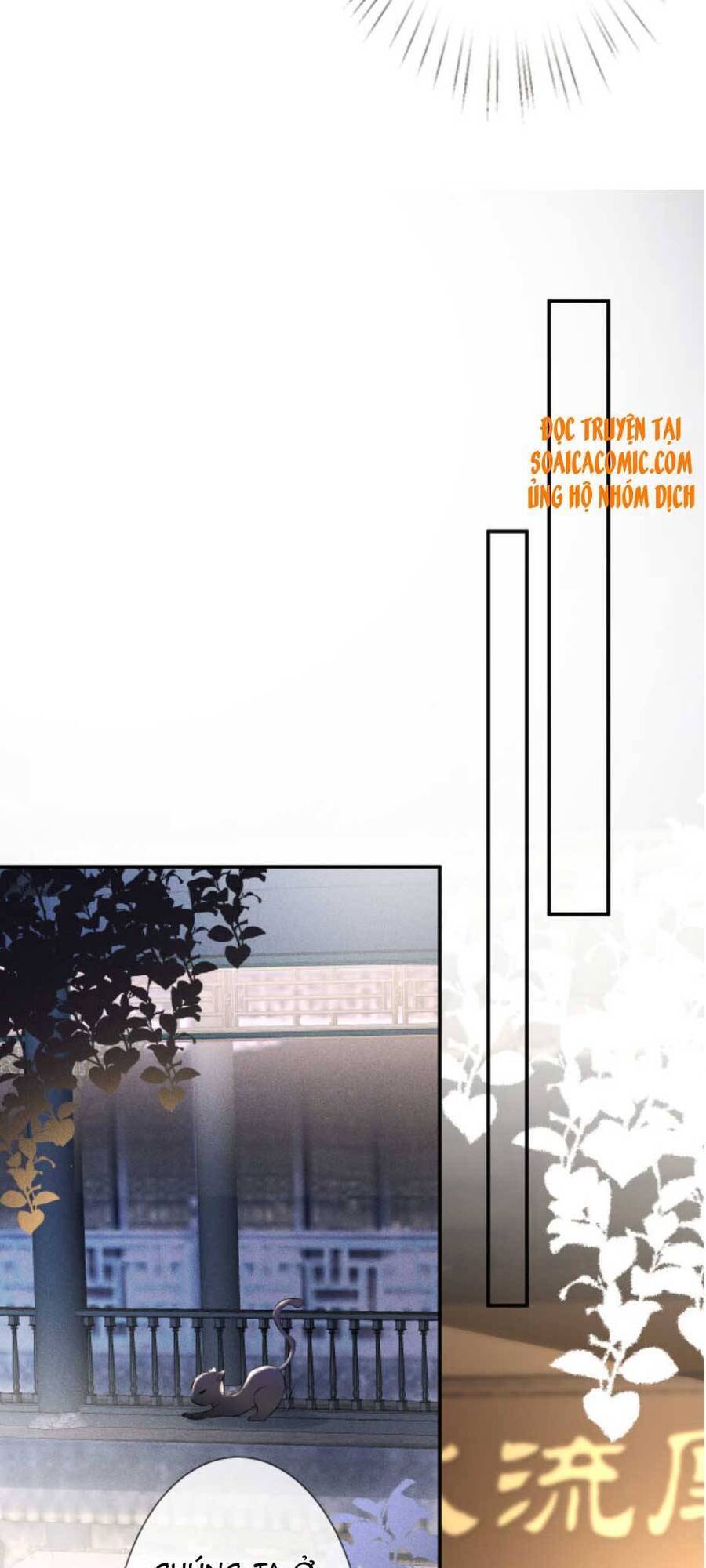 Ôm Khẩn Tiểu Mã Giáp Của Tôi Chap 52 - Next Chap 53