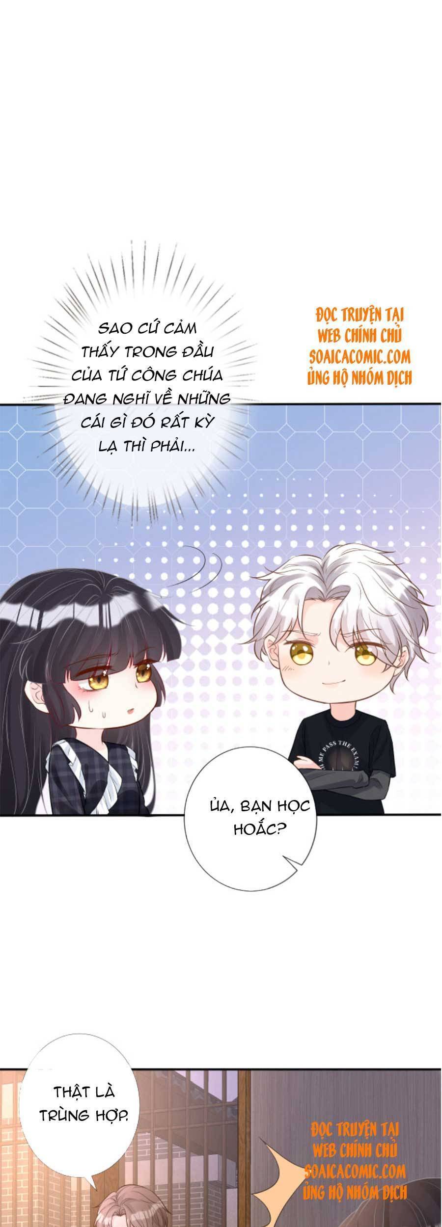 Ôm Khẩn Tiểu Mã Giáp Của Tôi Chap 86 - Next Chap 87