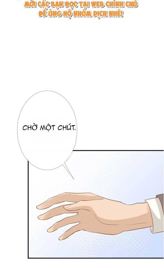 Ôm Khẩn Tiểu Mã Giáp Của Tôi Chap 91 - Next Chap 92