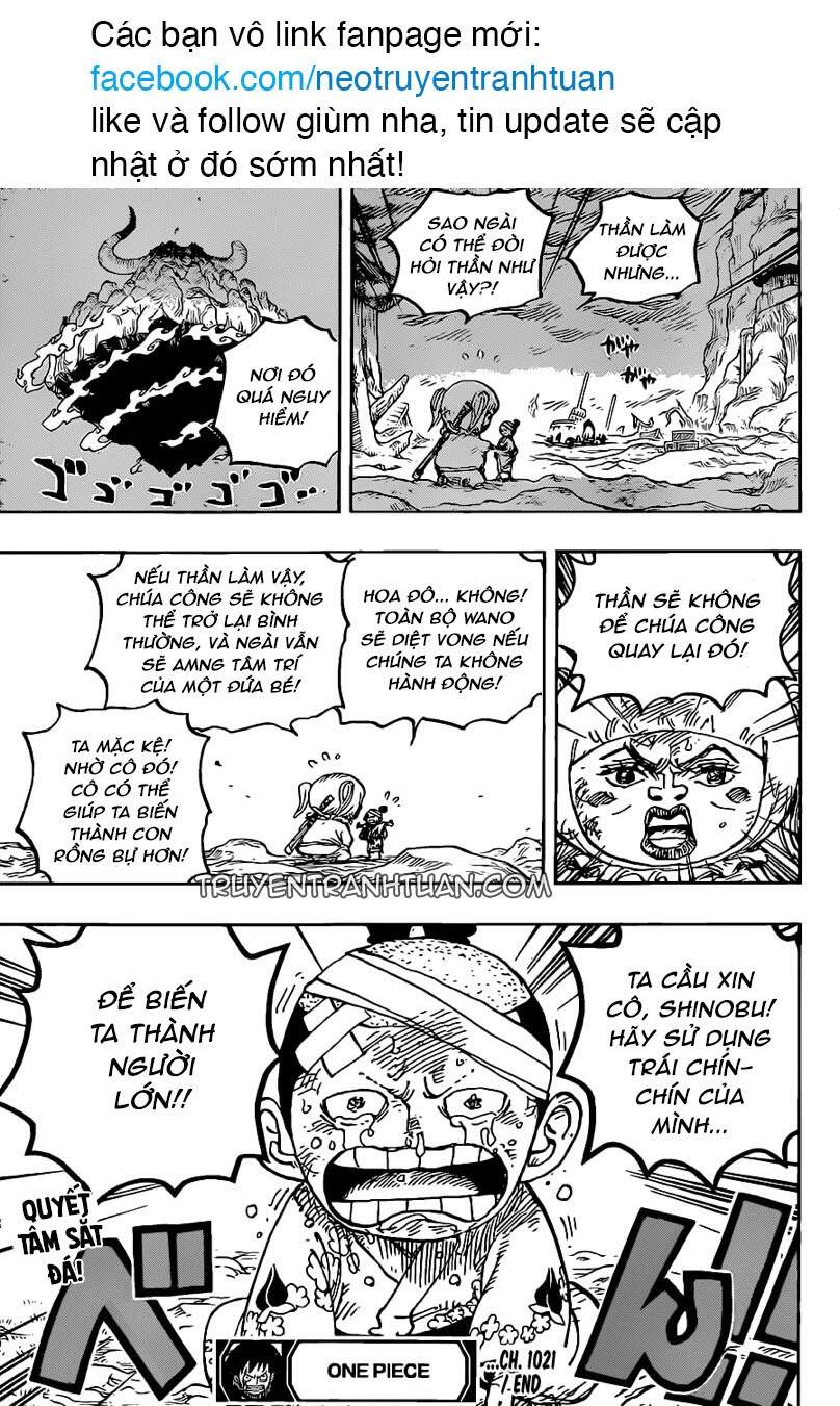 One Piece Chap 1021 - Next Chap 1022