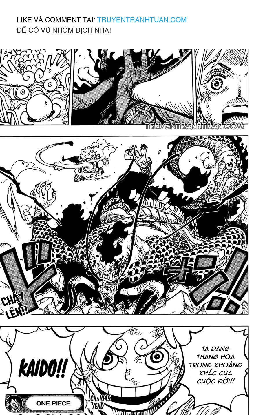 One Piece Chap 1045 - Next Chap 1046