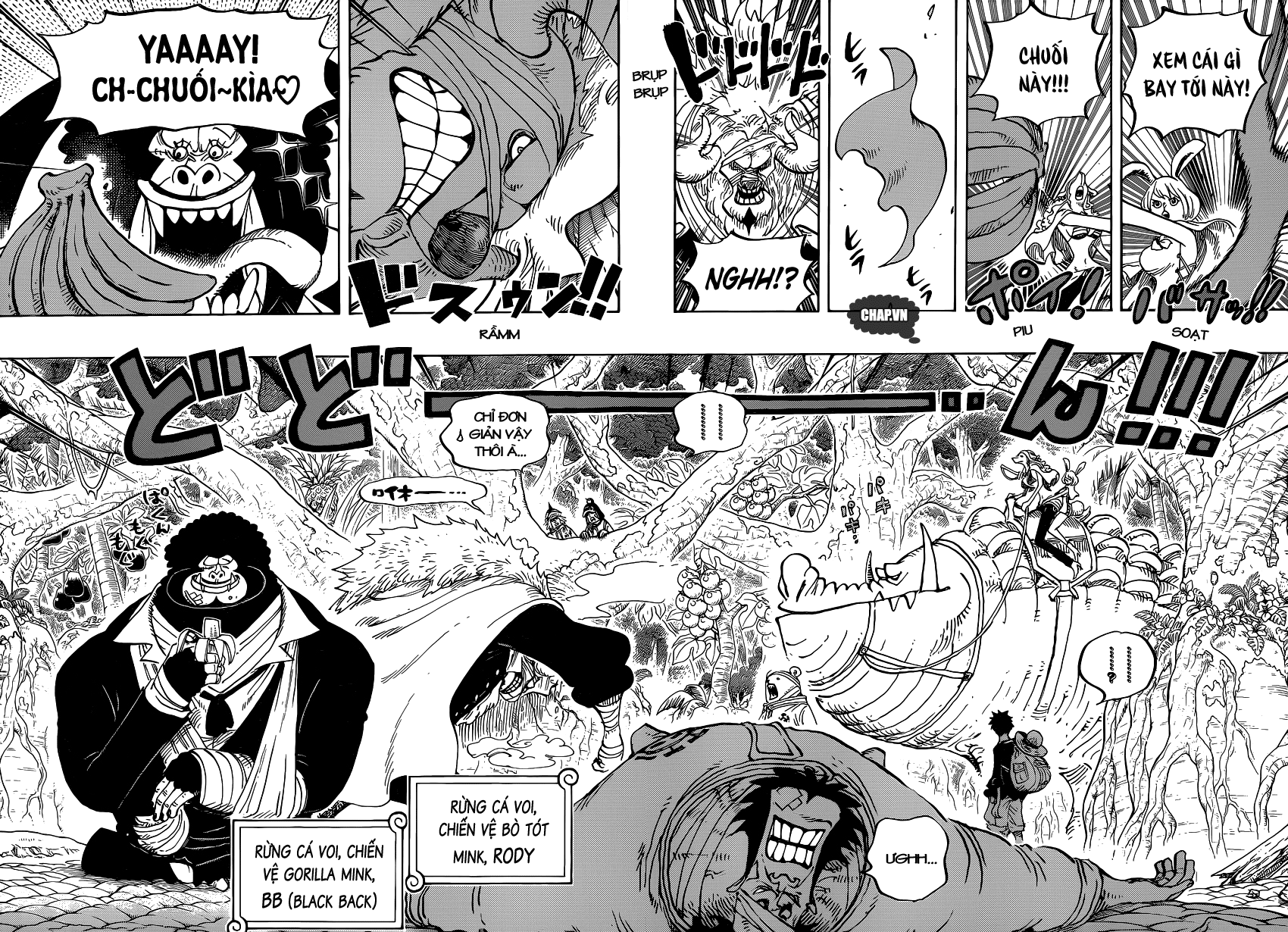 One Piece Chap 805 - Next Chap 806