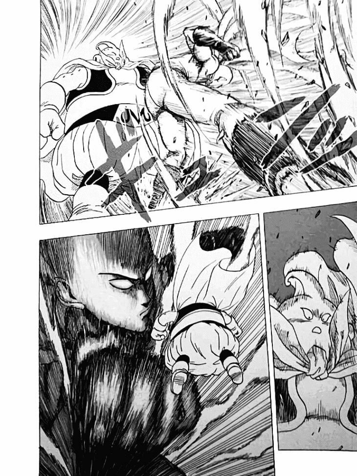 Onepunch Man Chap 1011 - Next Chap 1012