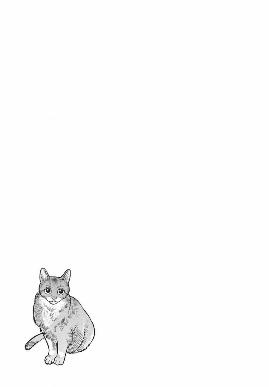 Ông Chồng Yakuza Nội Trợ Chap 89 - Next Chap 90