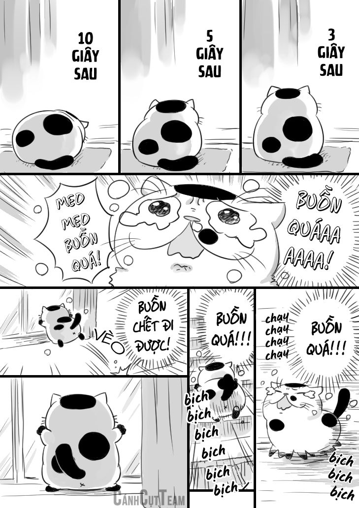 Ông Chú Và Con Mèo Mặt Bựa Chap 11 - Next Chap 12
