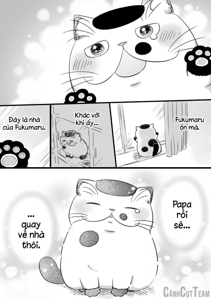 Ông Chú Và Con Mèo Mặt Bựa Chap 11 - Next Chap 12
