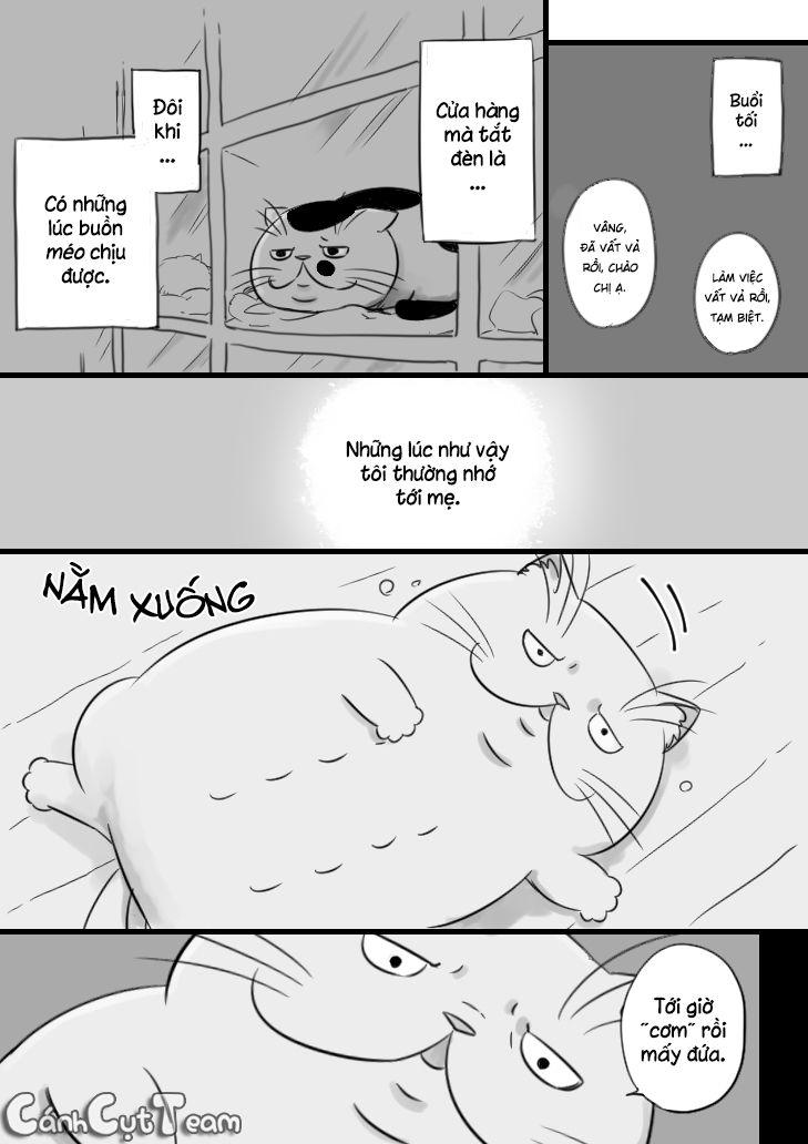 Ông Chú Và Con Mèo Mặt Bựa Chap 8 - Next Chap 9