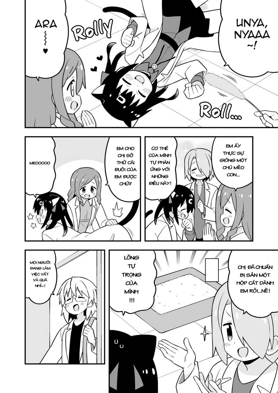 Onii-Chan Wa Oshimai! Chap 791 - Next Chap 792
