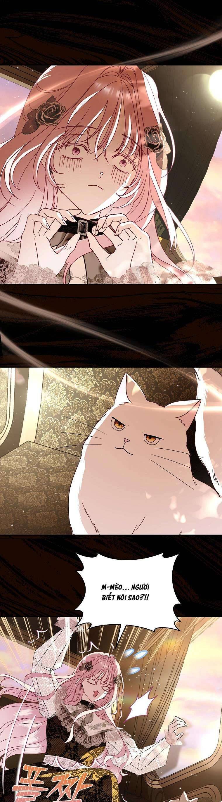 Phản Diện À, Tôi Sẽ Làm Mọi Thứ Cho Anh Trừ Kết Hôn Nhé! Chap 10 - Next Chap 11