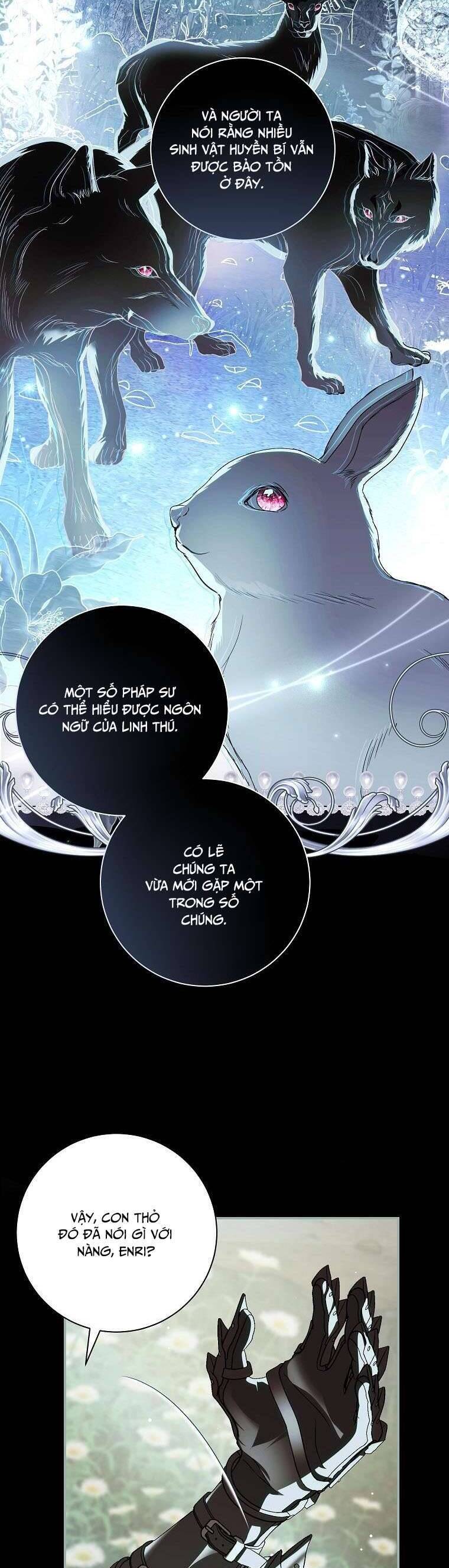 Phản Diện À, Tôi Sẽ Làm Mọi Thứ Cho Anh Trừ Kết Hôn Nhé! Chap 22 - Next Chap 23