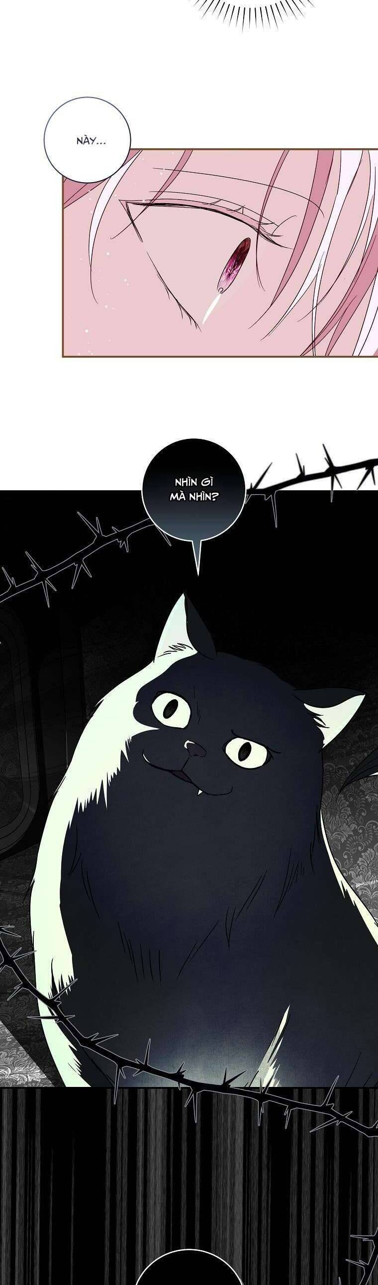 Phản Diện À, Tôi Sẽ Làm Mọi Thứ Cho Anh Trừ Kết Hôn Nhé! Chap 9 - Next Chap 10