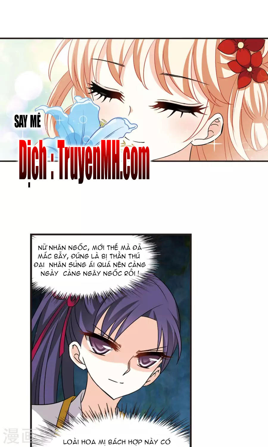 Phong Khởi Thương Lam Chap 132 - Next Chap 133