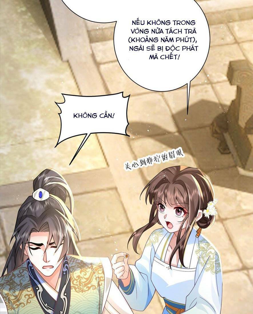 Phượng Hoàng Quy Hồi Chap 7 - Next Chap 8