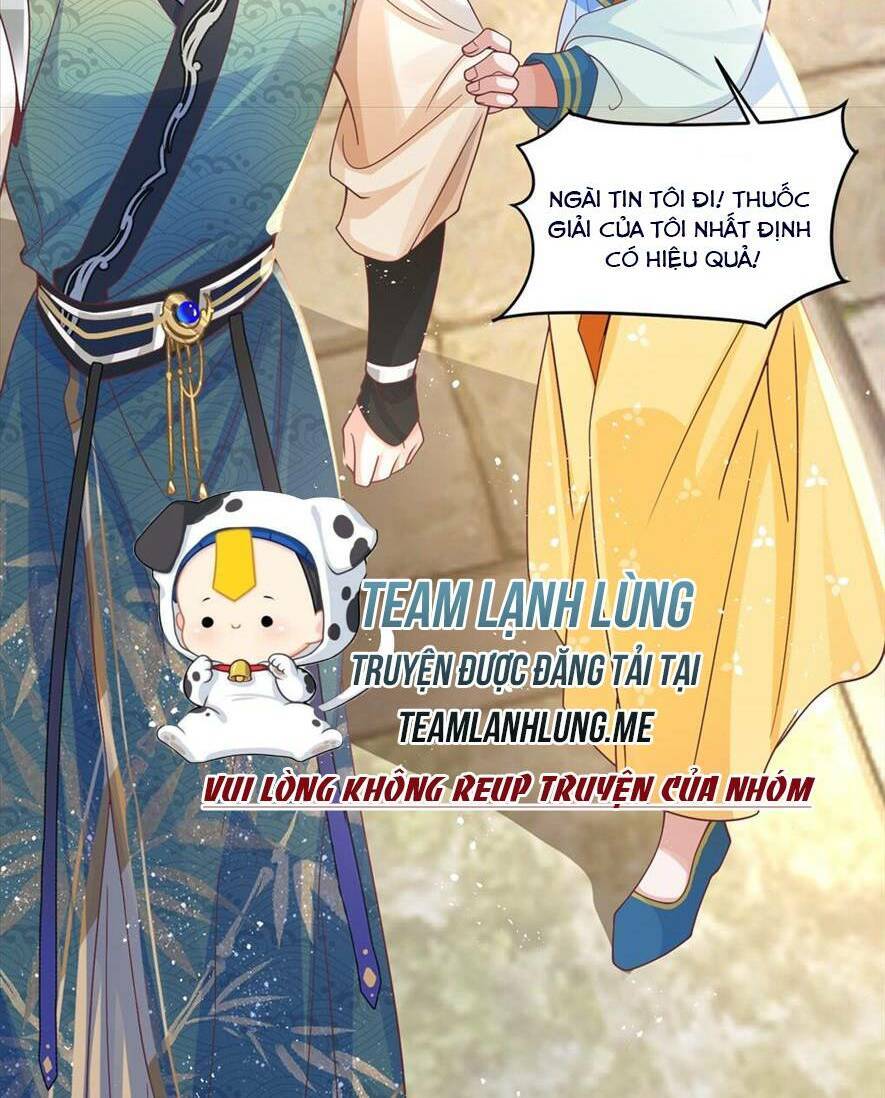 Phượng Hoàng Quy Hồi Chap 7 - Next Chap 8