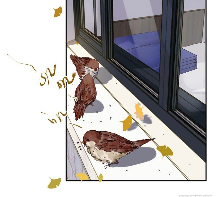 Quan Hệ Không Hoàn Hảo Chap 47 - Next Chap 48