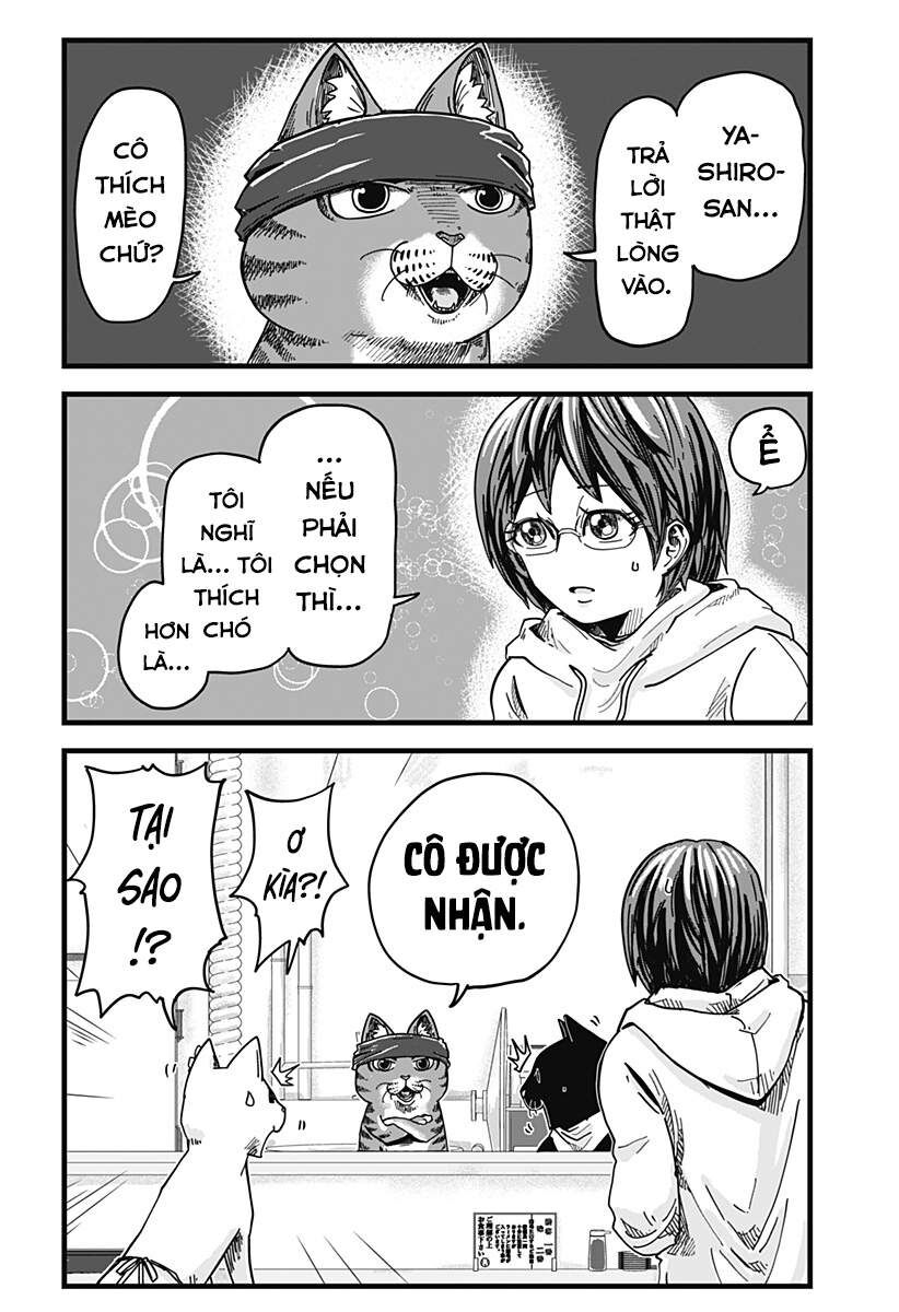 Quán Ramen Mèo Đỏ Chap 1 - Next Chap 2