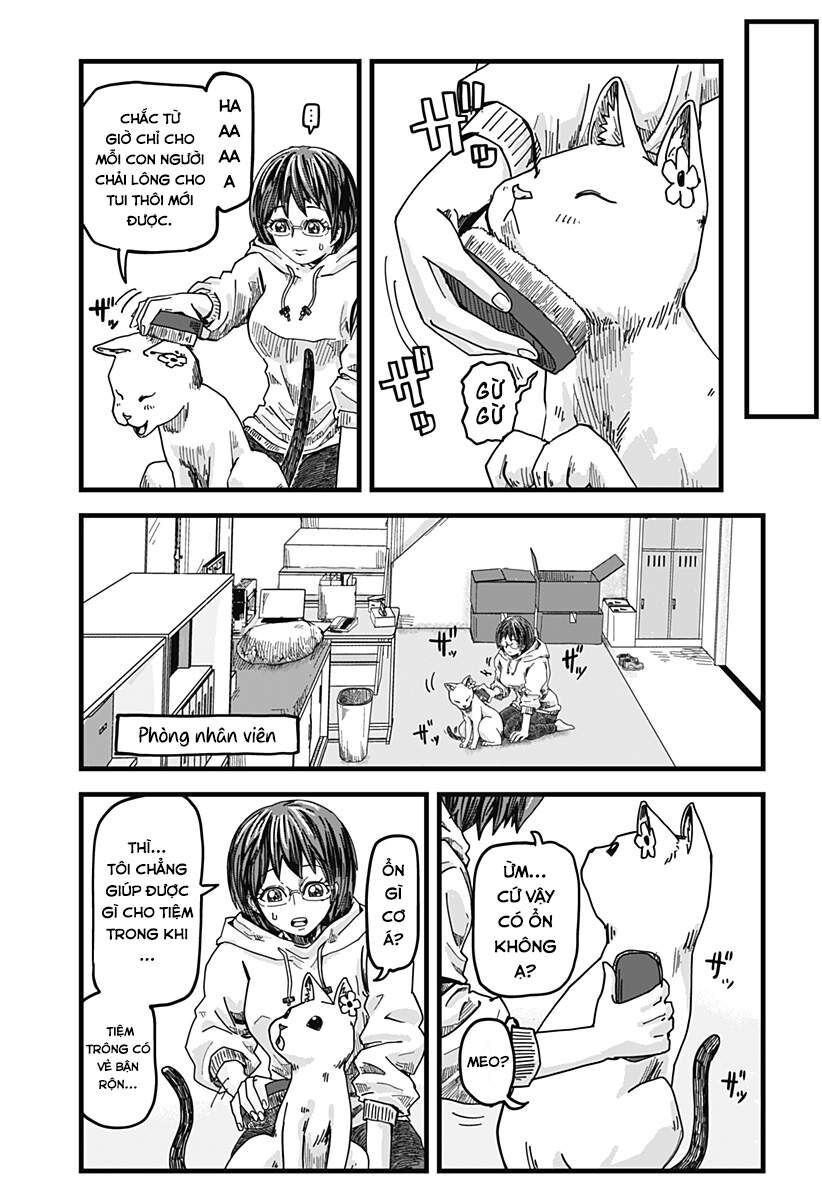 Quán Ramen Mèo Đỏ Chap 1 - Next Chap 2