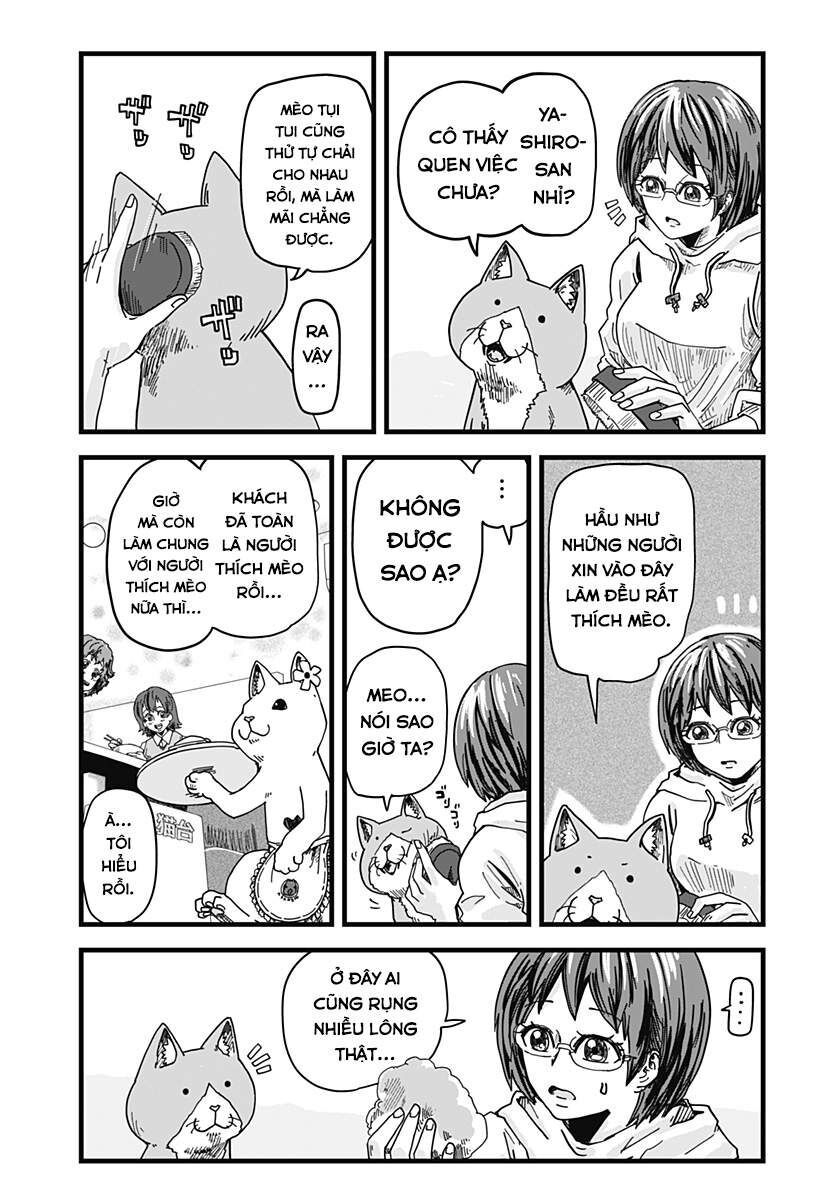 Quán Ramen Mèo Đỏ Chap 1 - Next Chap 2