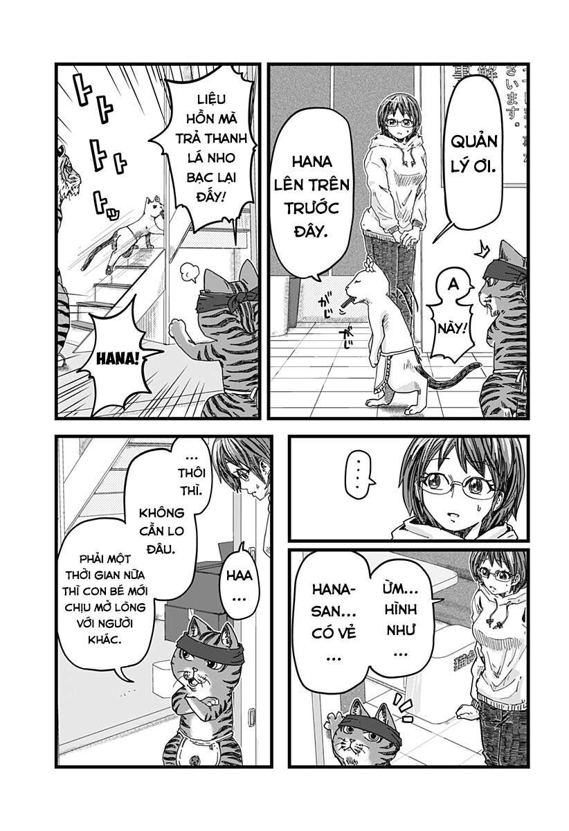 Quán Ramen Mèo Đỏ Chap 1 - Next Chap 2