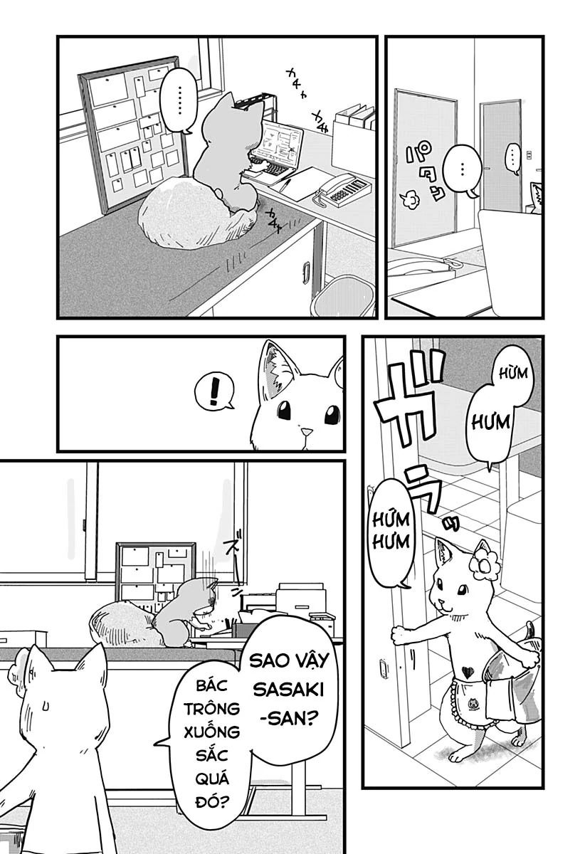 Quán Ramen Mèo Đỏ Chap 11 - Next Chap 12