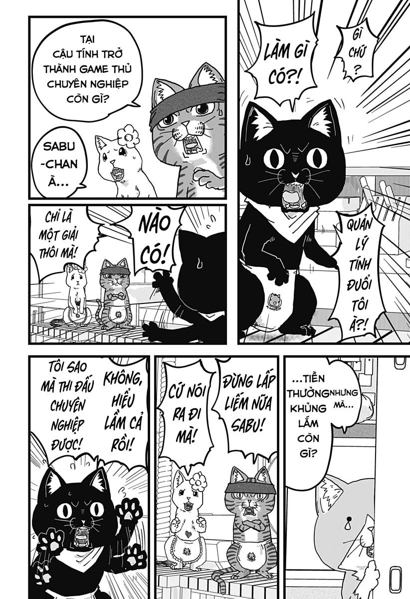 Quán Ramen Mèo Đỏ Chap 11 - Next Chap 12