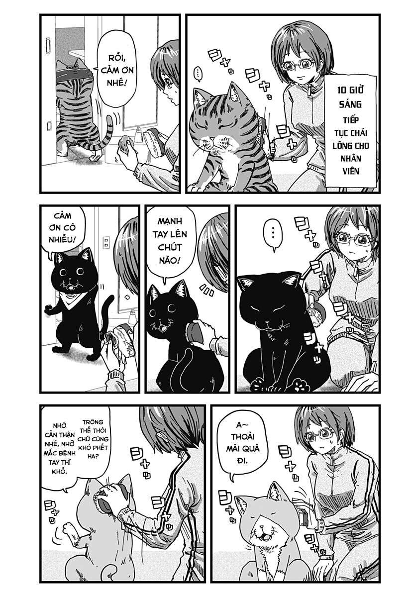 Quán Ramen Mèo Đỏ Chap 2 - Next Chap 3